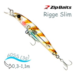 Rigge 60 SS-L021 Slim SW - фото