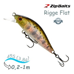Rigge 45 S-851 Flat S-Line - фото