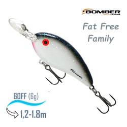 BD5 MESP Fat Free Guppy - фото