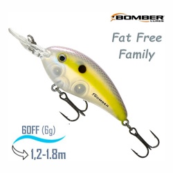 BD5 MSTR Fat Free Family - фото