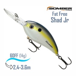 BD6 FFS Fat Free Shad Jr - фото