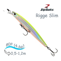 Rigge 80 F 205R Slim - фото