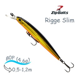 Rigge 80 F 050R Slim - фото