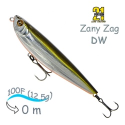 Zany Zag 100 DW-R60 - фото