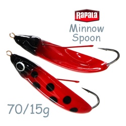 RMS07 LDB Minnow Spoon - фото
