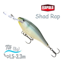 SR07 BBH Shad Rap . - фото