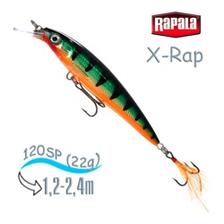 XR12 P X-Rap - фото