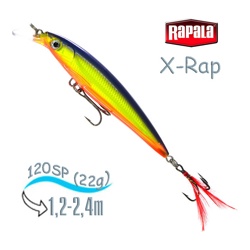 XR12 HS X-Rap - фото