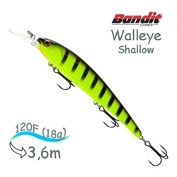 BDTWBS 106 Walleye Shallow - фото