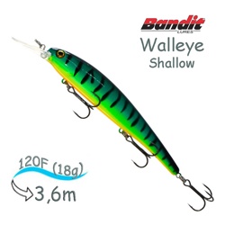 BDTWBS 120 Walleye Shallow - фото