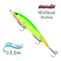 BDTWBS1 B23 Walleye Shallow - фото