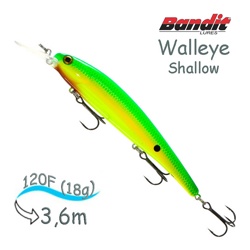 BDTWBS1 D02 Walleye Shallow - фото