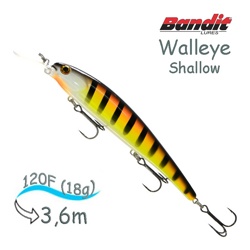 BDTWBS 107 Walleye Shallow - фото
