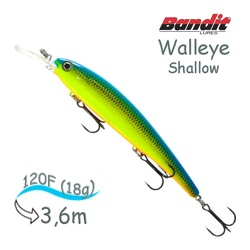 BDTWBS 136 Walleye Shallow - фото
