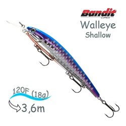 BDTWBS1 B21 Walleye Shallow - фото