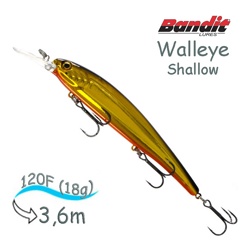 BDTWBS 162 Walleye Shallow - фото
