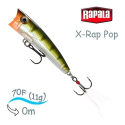 XRP07 YP X-Rap Pop . - фото