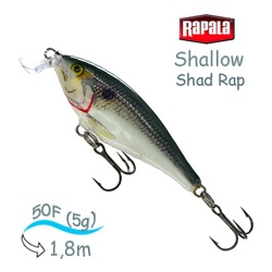 SSR05 SD Shallow Shad Rap - фото