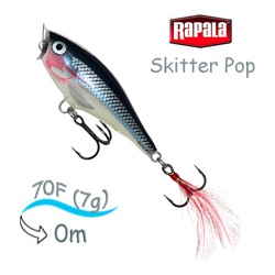 SP07 SD Skitter Pop - фото