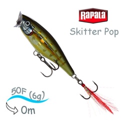 SP05 STGS Skitter Pop - фото