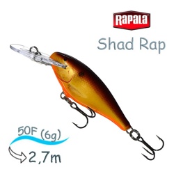 SR05 CW Shad Rap - фото