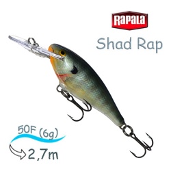 SR05 BG Shad Rap . - фото
