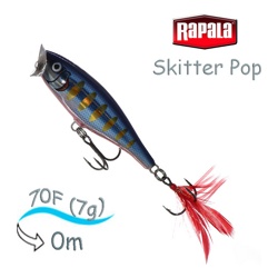 SP07 STHB Skitter Pop - фото