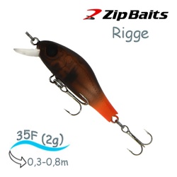 Rigge 35 F-139 . - фото