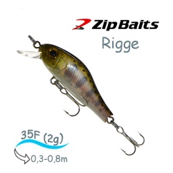 Rigge 35 F-851 - фото