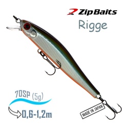 Rigge 70 SP-824 - фото