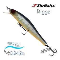 Rigge 70 SP-983 - фото