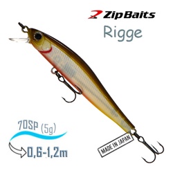Rigge 70 SP-039 - фото