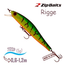 Rigge 70 SP-995 - фото