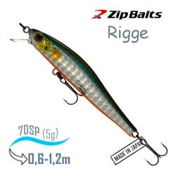 Rigge 70 SP-2001 - фото