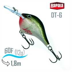 DT06 BOS Dives-To - фото