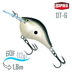 DT06 PGS Dives-To - фото