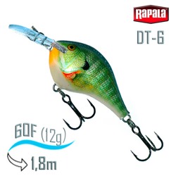 DT06 BG Dives-To - фото