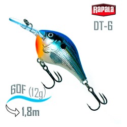 DT06 BSD Dives-To - фото