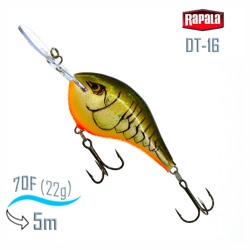 DT16 RTBC Dives-To - фото