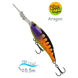 Aragon 75F-DDR 025 - фото