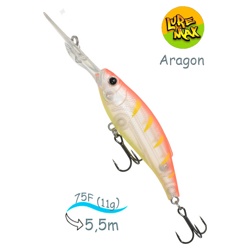 Aragon 75F-DDR 038 - фото