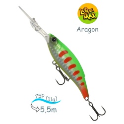 Aragon 75F-DDR 125 - фото