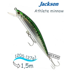 Athlete minnow 120S C-10H - фото