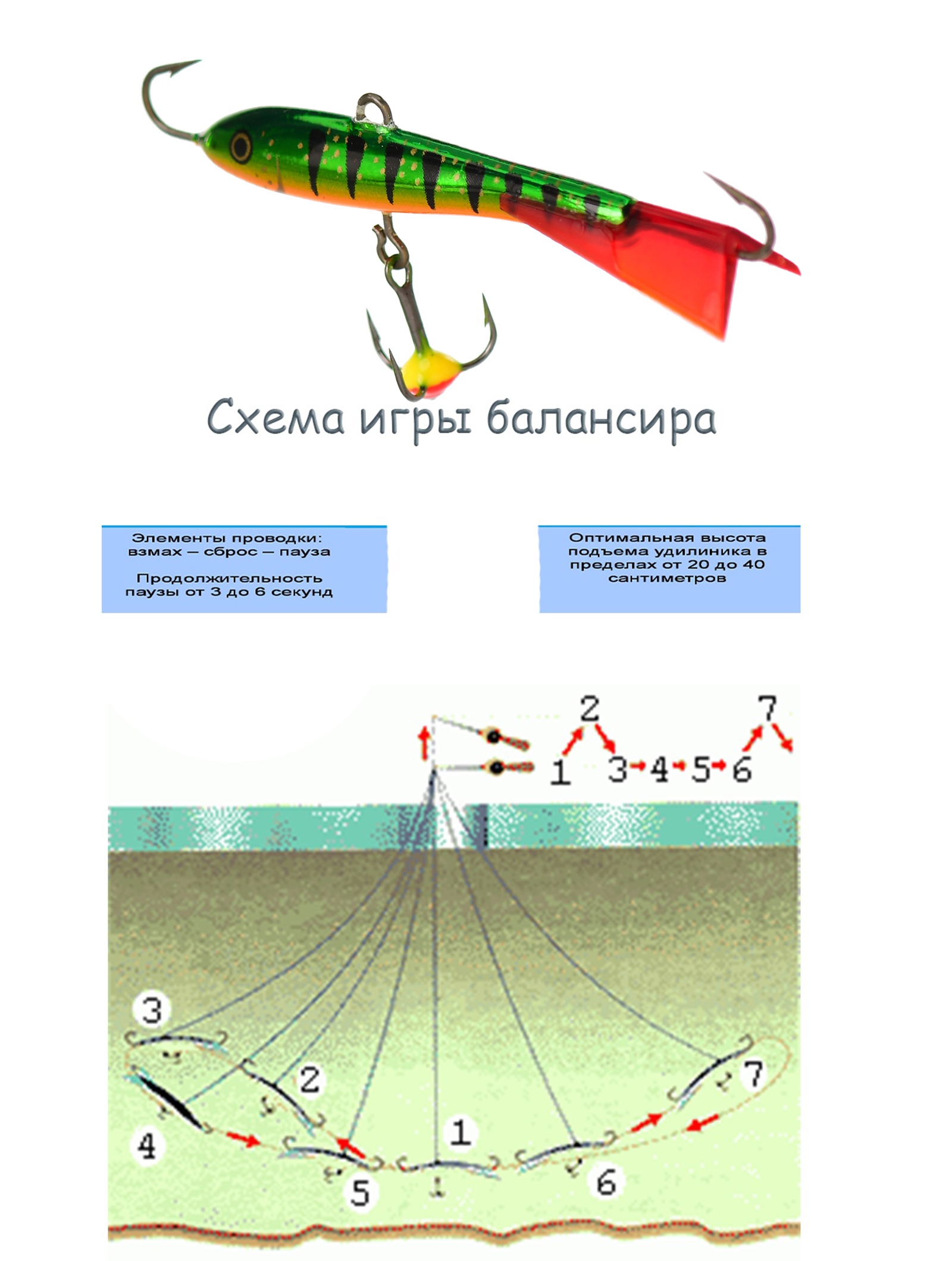 Jigging Rap WH07 P - фото5