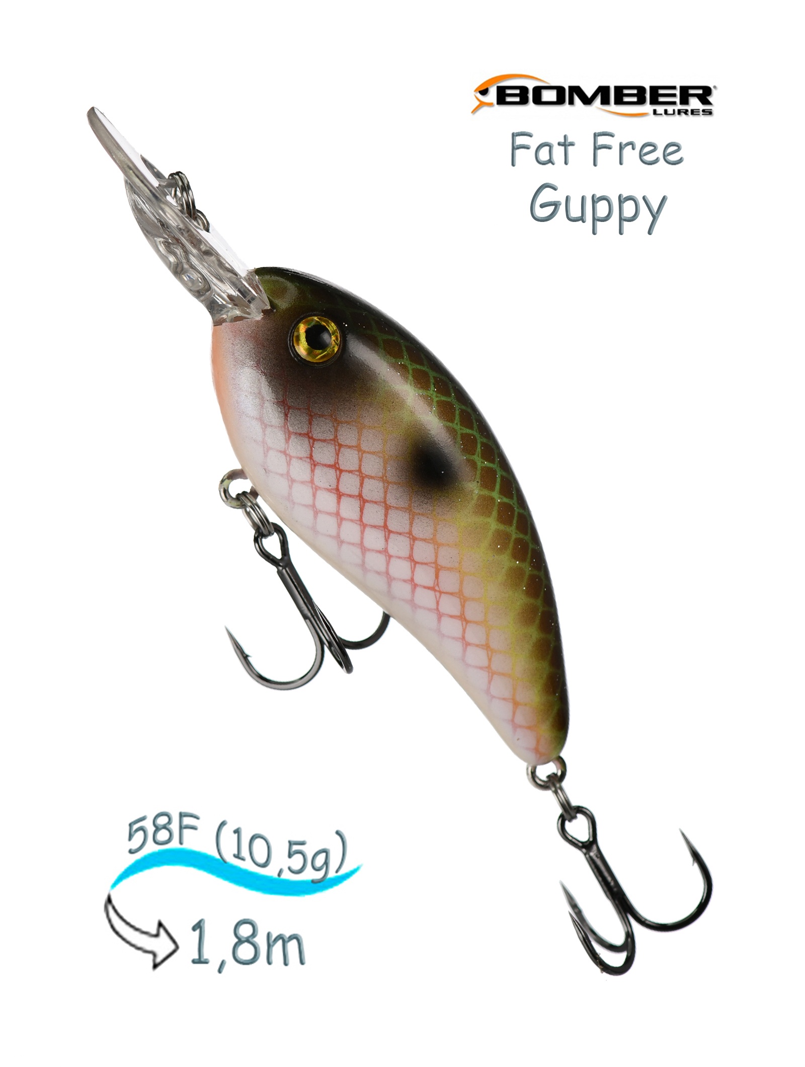 BD5 M519 Fat Free Guppy