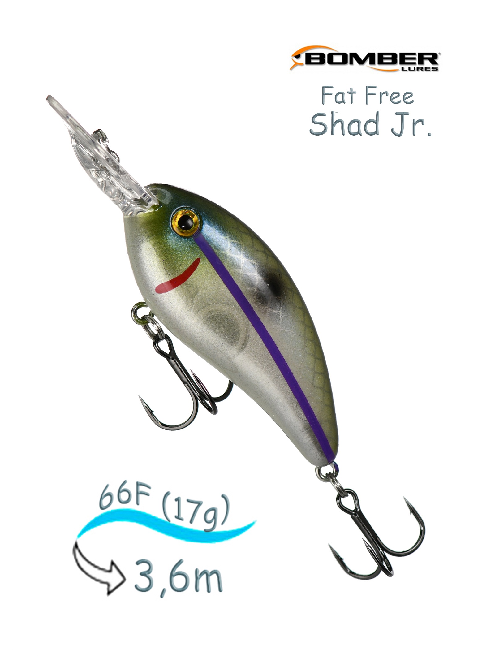 BD6 F518 Fat Free Shad Jr