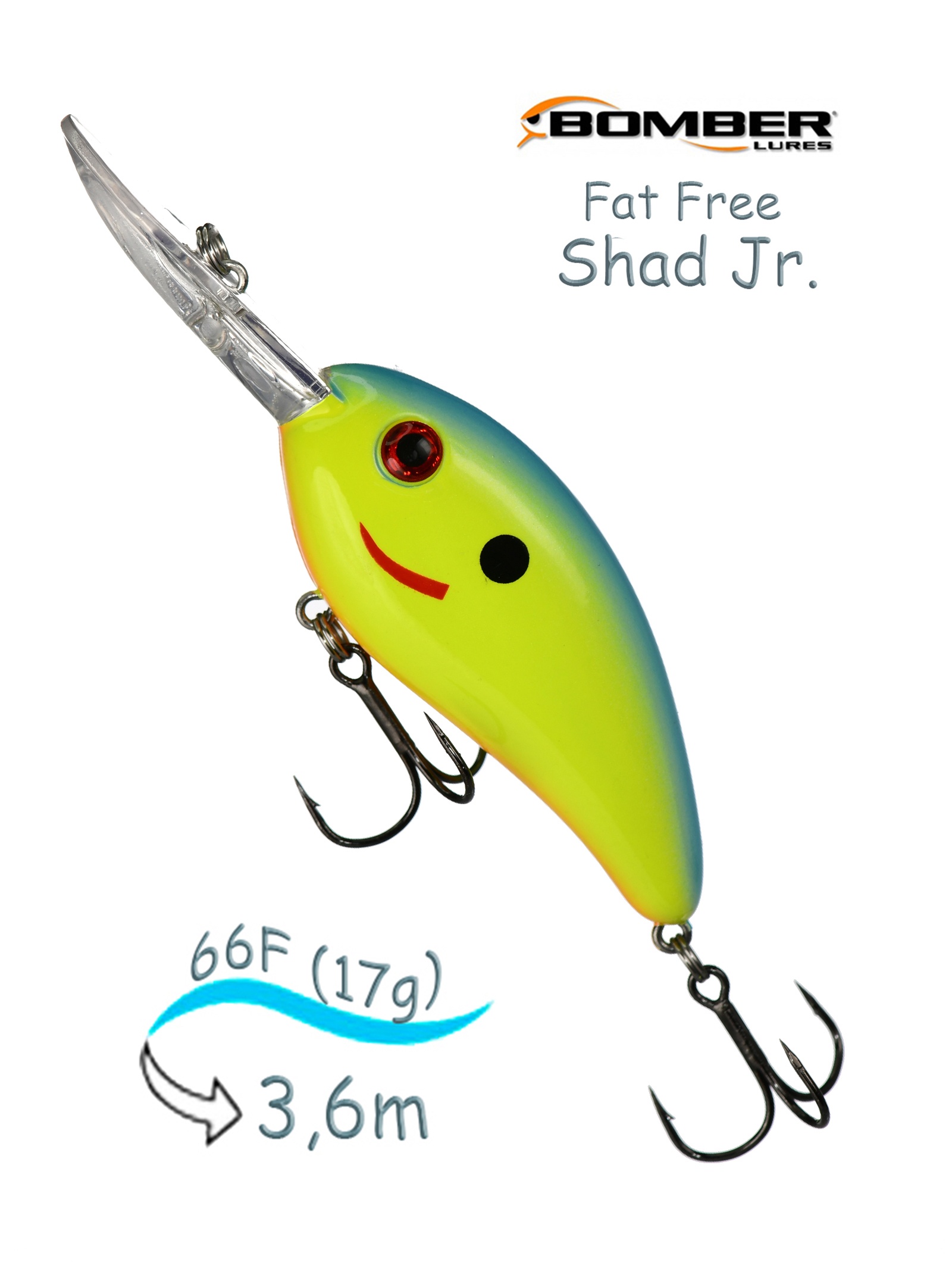 BD6 FCHBL Fat Free Shad - фото