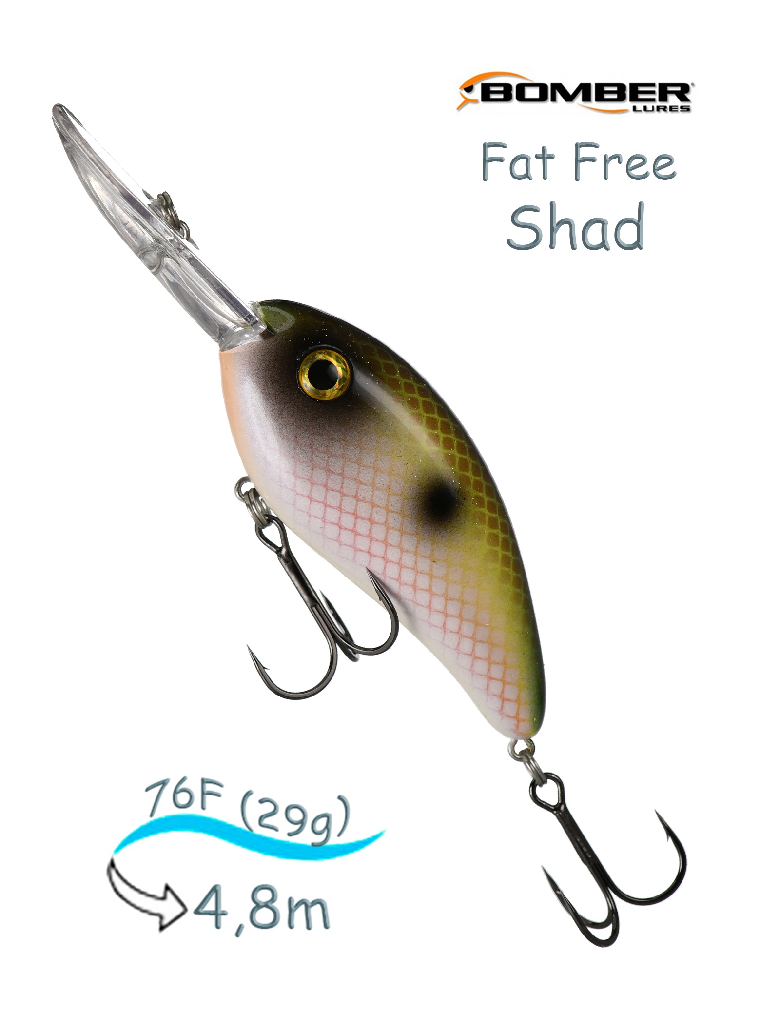 BD7 F519 Fat Free Shad