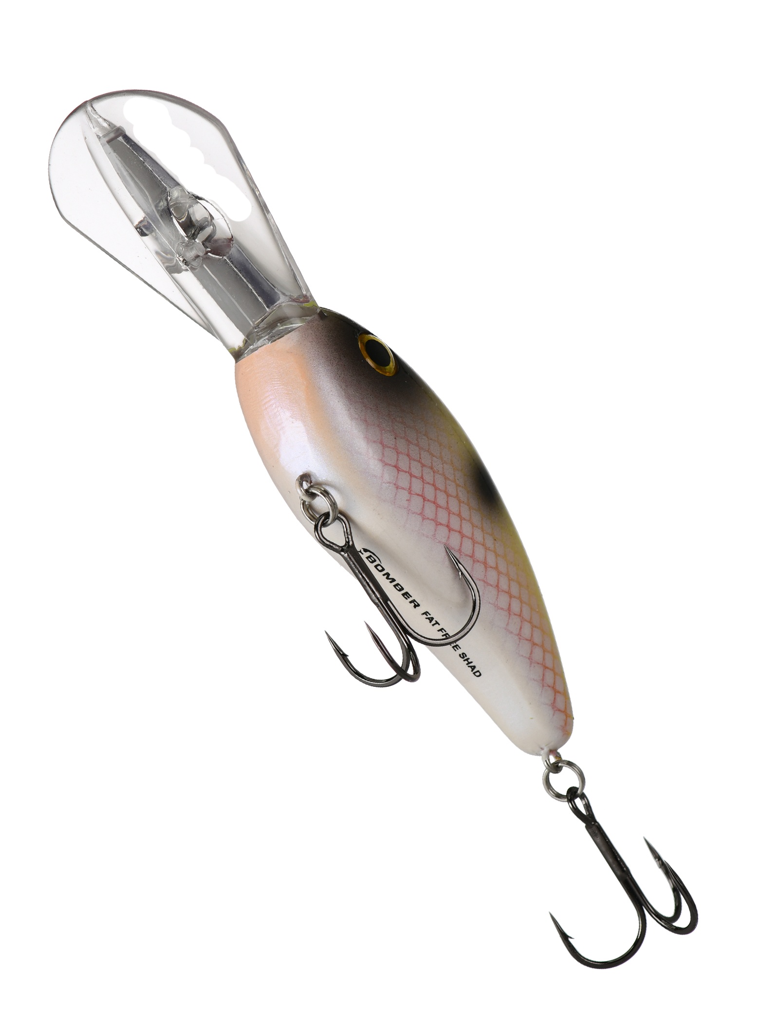 BD7 F519 Fat Free Shad