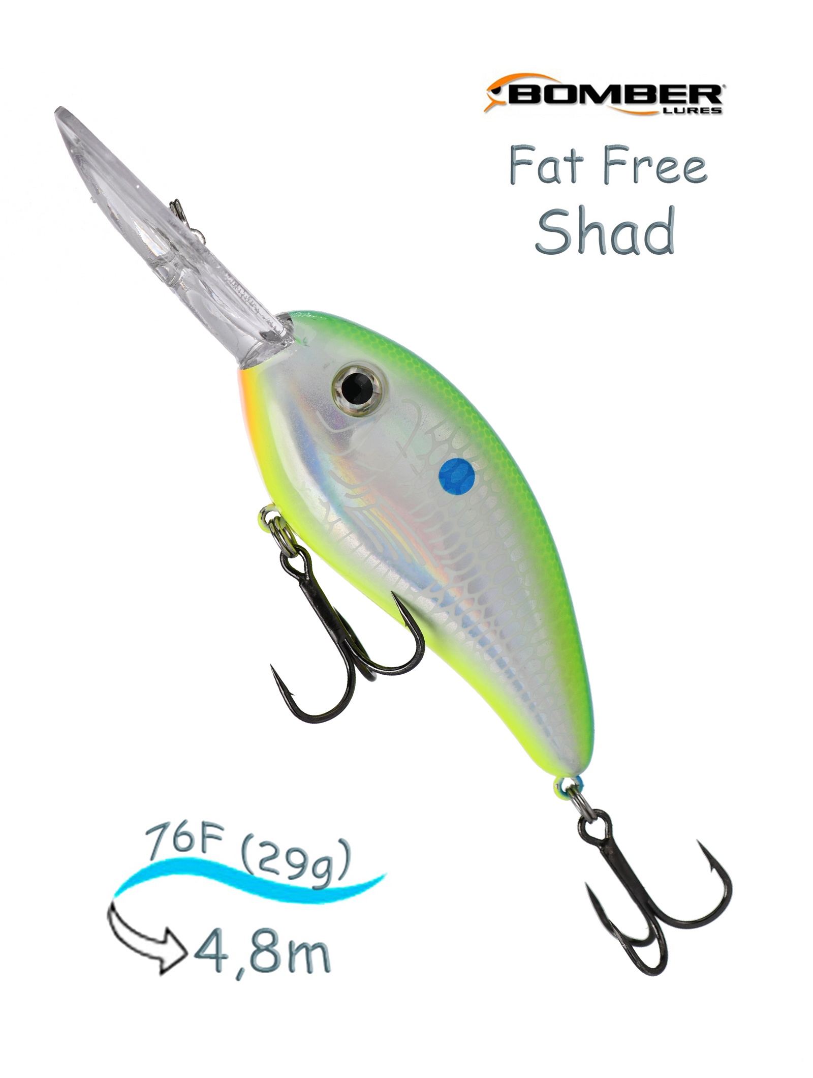 BD7 FDCS Fat Free Shad